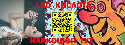 прущие крисы Камышлов