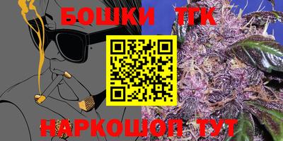 прущие крисы Камышлов