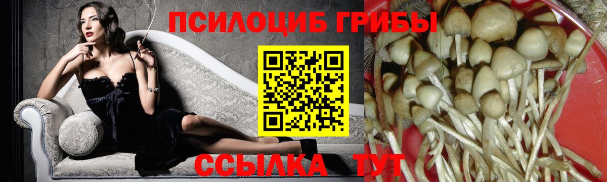 Псилоцибиновые грибы ЛСД Ишимбай